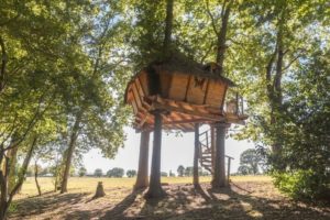 Sejour-insolite-cabane-dans-les-arbres-5-etoiles